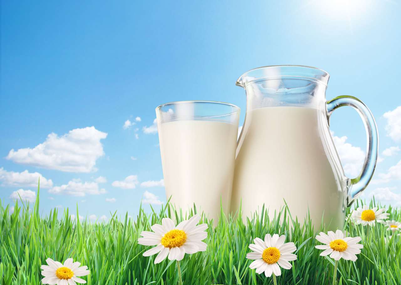 В якому молоці найбільше жиру та білків?